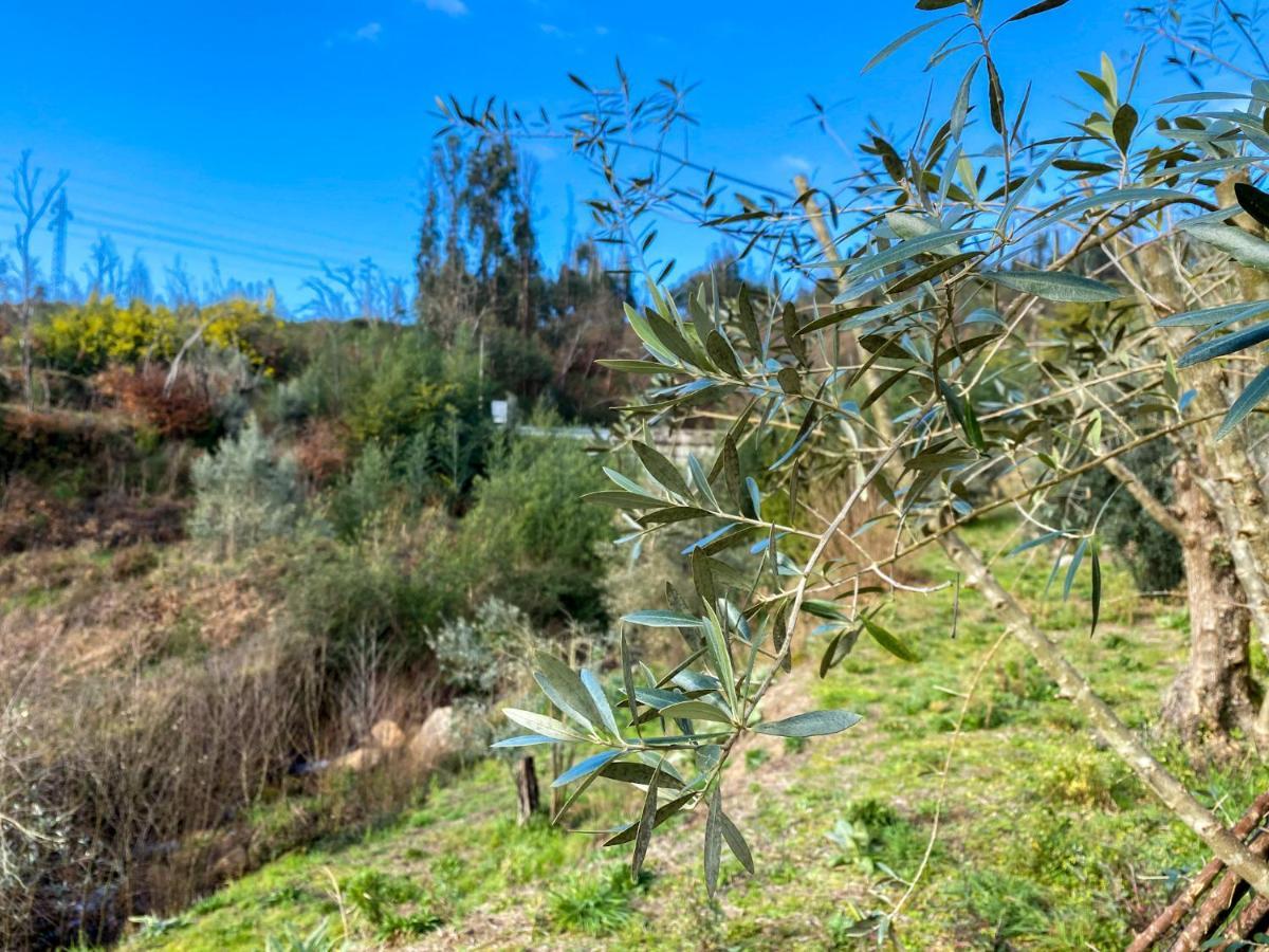 Encosta Do Sol Daire Canas de Senhorim Dış mekan fotoğraf